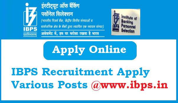 IBPS Recruitment 2024