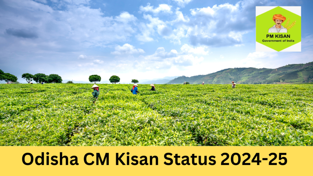 Odisha CM Kisan Status 2024-25