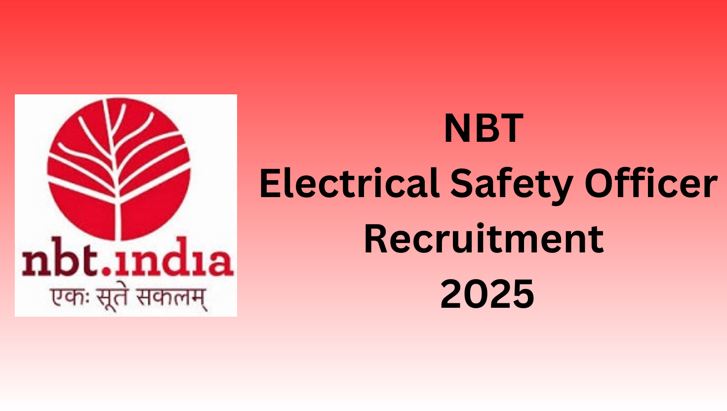 NBT Electrical Safety Officer Recruitment 2025